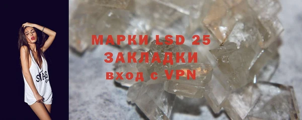трава Слюдянка